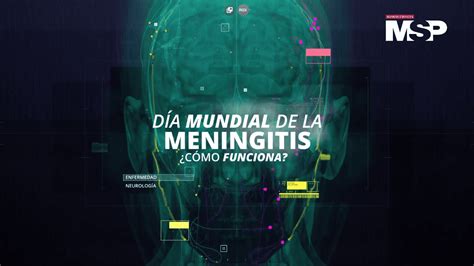 Día Mundial De La Meningitis ¿cómo Funciona