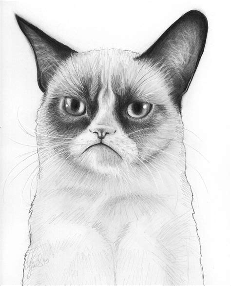 37 Very Cute Cat Drawing Aleya Wallpaper