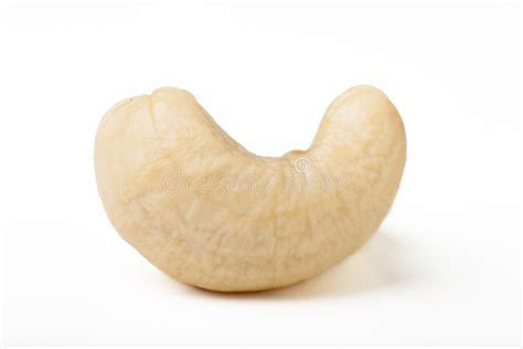 Single Cashew Stock Image Image Of Crunchy Object Nuts 14565083