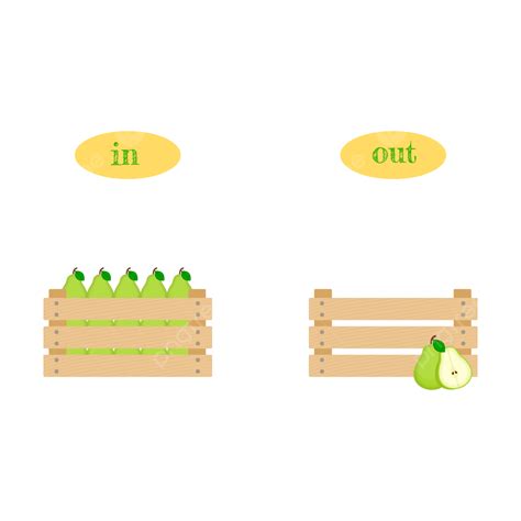 English Opposite Words In And Out Pear Wooden Box Vector Illustration