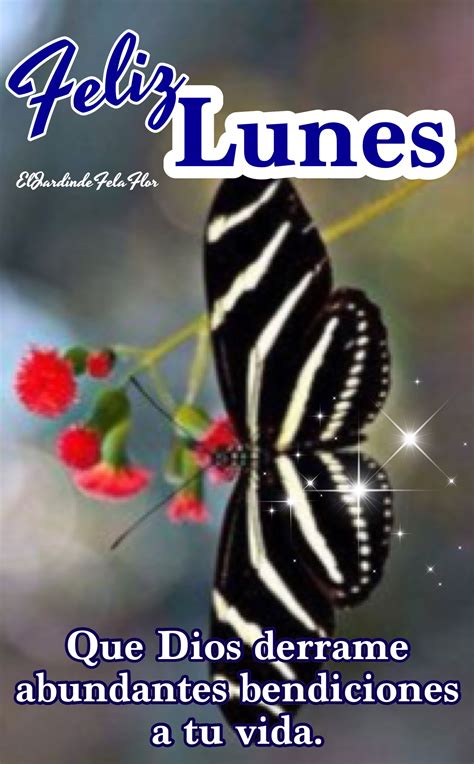 Feliz Lunes | Good morning quotes, Good day wishes, Bible words