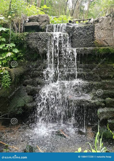The Secret Miniature Waterfall Stock Photo Image Of Garden Nature