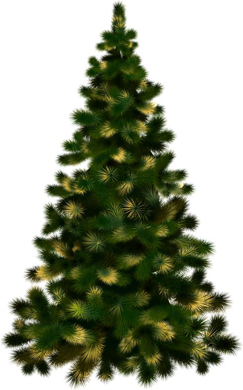 Christmas Tree Png Transparent Images Pictures Photos