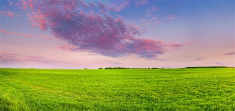 Countryside Rural Field Or Meadow Landscape With Green Grass Under