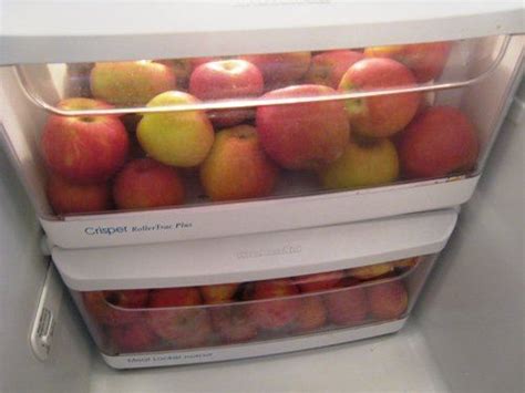 Store unwashed apples in the coldest part of your refrigerator. 9 Best Ways to Store Apples to Make Them Last for Short ...