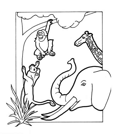 God Made Animals Coloring Page Sketch Coloring Page