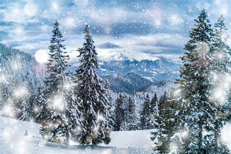 Winter Christmas Wonderland Landscape With Snow Falling Over Mountains