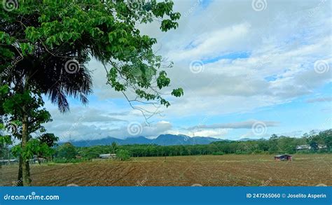A Farm In Bukidnon Stock Photo Image Of Farm Mindanao 247265060