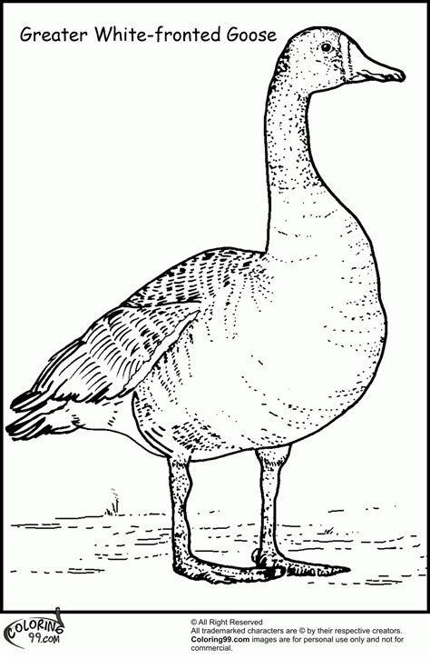 Slipper Pink Free Printable Goose Coloring Pages