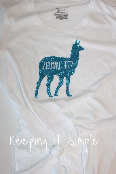 Download DIY Funny Womens Graphic Shirt Ideas with SVG Cut Files • Keeping it Simple