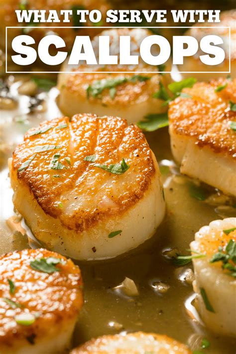 What To Serve With Scallops 24 Best Side Dishes Insanely Good