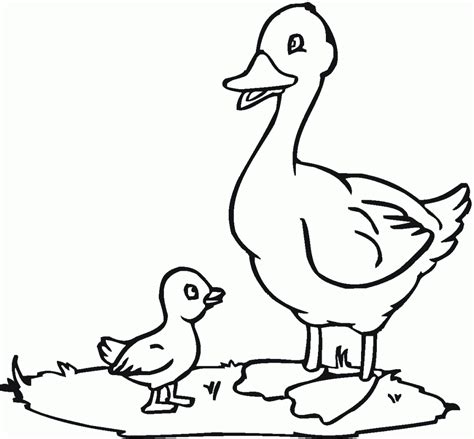 Pato Para Colorir E Imprimir
