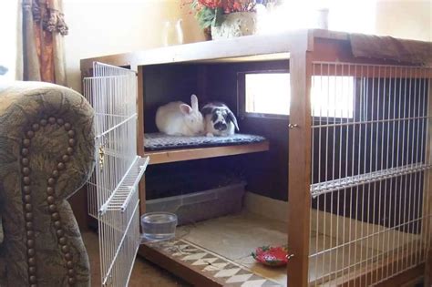 7 Easy Steps To Set Up An Indoor Rabbit Cage