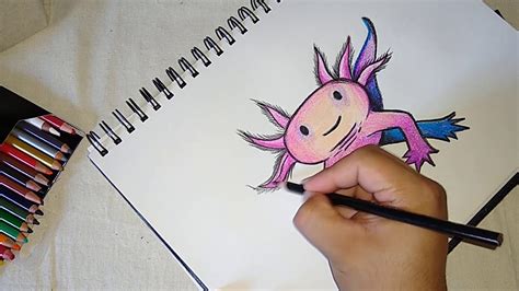 Cómo Dibujar Ajolote Axolotl Dibujo Fácil Paso A Paso How To