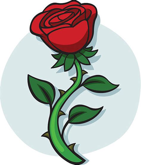 Single Rose Clip Art Vector Images And Illustrations Istock