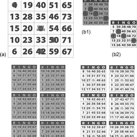 Sample Bingo Cards Classles Democracy