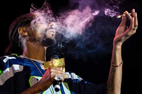 Snoop Dogg Smokes Up To 150 Joints A Day Celebrity Gossip News