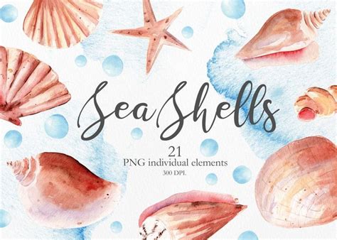 Download this hand painted watercolor cactus, watercolor, hand, cactus png clipart image with transparent background or psd file for free. Watercolor Sea Shells Clipart, Instant Digital Download ...