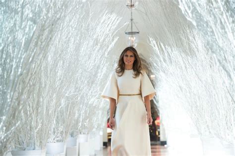 There is nothing akin to the icy, underlit branches of 2017 that turned the east colonnade into what consider this tepid headline from mashable: U.S. first lady Melania Trump goes with classic Christmas ...