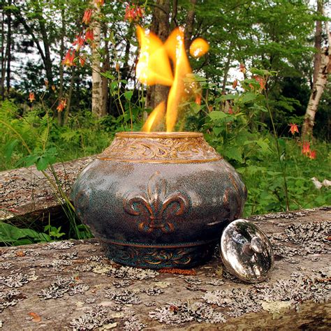 Great picture by the way! French Lily Patio Torch / Blue & Tranquil Tan w Fuel ...
