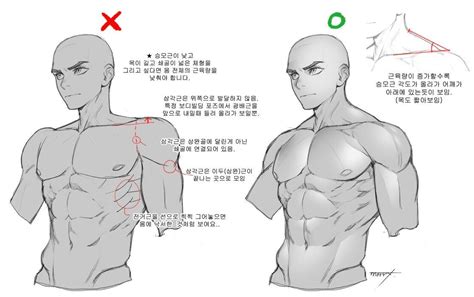 Pin by 蔚海 黃 on 2D イラストチュートリアル Anatomy reference Art reference poses