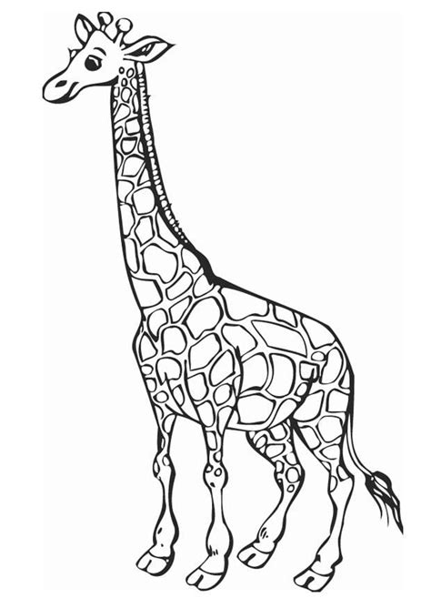 Dibujo para colorear Jirafa - Img 12758