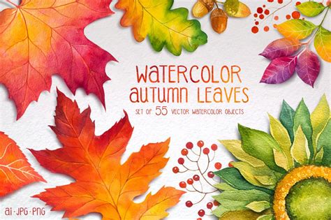 Autumn Leaves Watercolor Set 4265 Illustrations Design Bundles