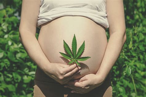 Some pregnant women use marijuana, and researchers are still unsure how the drug can affect a fetus. Can You Use Medical Marijuana During Pregnancy? - RQS Blog