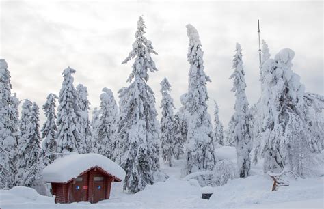 картинки зима Финляндия Лыжи холодно Коттедж снег мороз