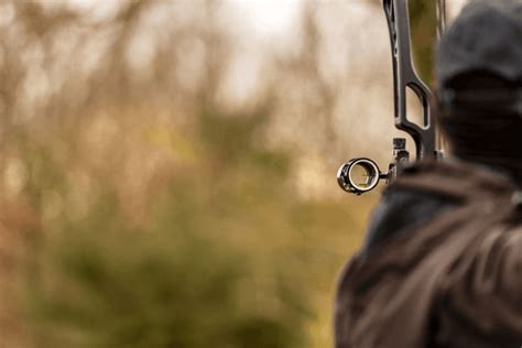 How To Sight In A Compound Bow Step By Step Guide