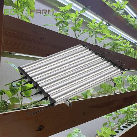 Strawberries can be grown indoors using a grow light. indoor vertical hydroponic strawberry led lamp light ...