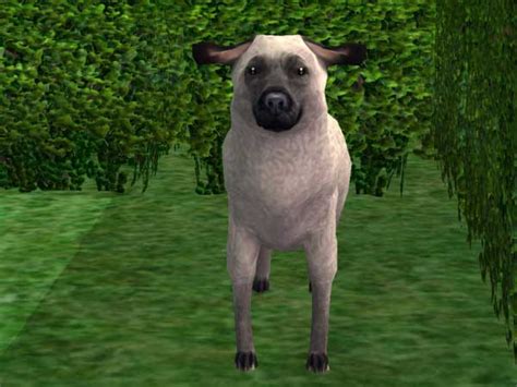 Mod The Sims Sheep Dog