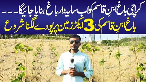 Bagh Ibne Qasim Plantation Start Karachi Urban Forest Project Youtube