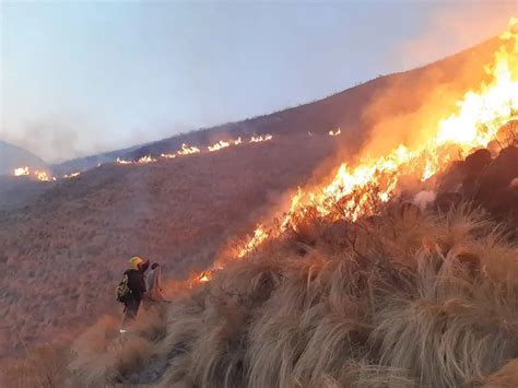 Reporte Oficial Por Los Incendios En Argentina No Hay Provincias Con