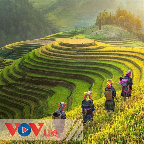 Top Với Hơn 55 Về Mô Hình đất Nước Việt Nam Mới Nhất Tin Học Đông Hòa