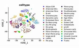 Cell Type Annotation Example Clustermole