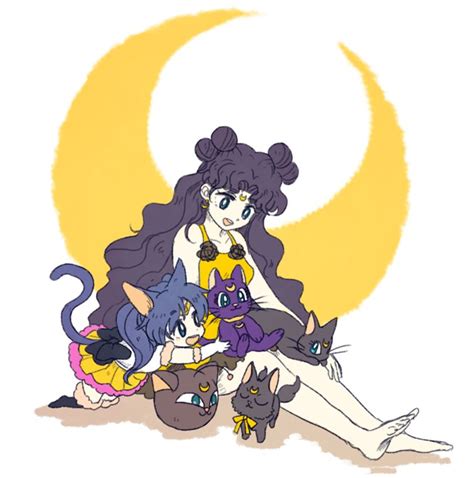 Pin By Dannik On Bishoujo Senshi Sailor Moon Sailor Moon Cat Pretty Guardian Sailor Moon