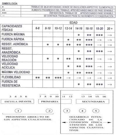 Fases Sensibles Para Trabajar Las Capacidades Condicionales