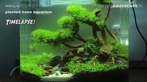 Plants for nano tank hundreds of plants are available to the freshwater aquarist, and selecting the right species means matching the optimum conditions for the plants to the needs of your fish and shrimp. Setting up planted nano aquarium - timelapse - YouTube