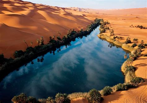Sahara Desert Oasis Pics