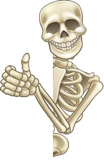 Royalty Free Human Skeleton Clip Art Vector Images And Illustrations Istock