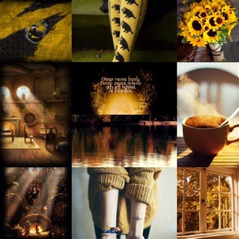 Hp Aesthetics Hufflepuff House You Might Star Chaser