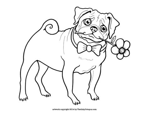 These super sweet coloring pages can help you love them more! Baby Pug Coloring Pages at GetColorings.com | Free ...