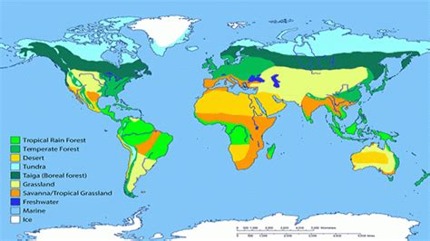 World Biome Map Coloring Worksheet