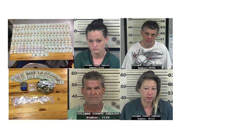 raid at sex offender s residence leads to multiple drug arrests the cullman tribune