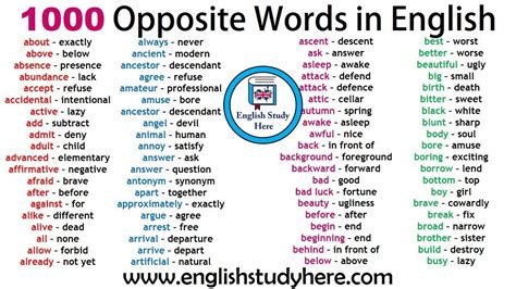 1000 Opposite Words In English Antonym Words List Common Opposites