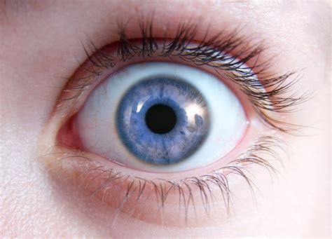 Das Sagt Deine Augenfarbe über Deinen Charakter Aus Genialetricks
