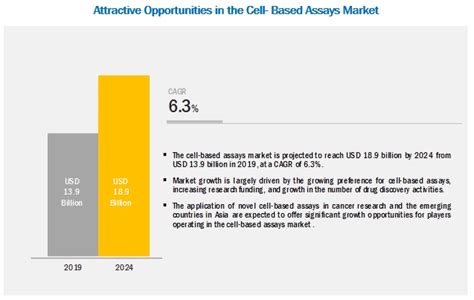 Cell Based Assay Market Size Growth Share Trends And Forecast To