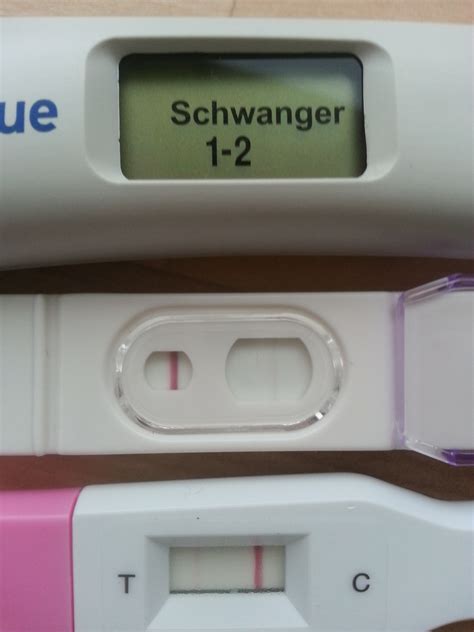 Der test misst die auch dann kann der schwangerschaftstest noch positiv ausfallen, obwohl die frau nicht mehr schwanger ist. ab wann sieht man das baby am Ultraschall? (Gesundheit ...