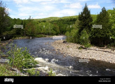 Pristine Nature Around A River Surrounded By Woods Stock Photo Alamy